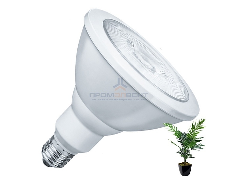 Светодиодная лампа для растений NLL FITO PAR38 15W 230V E27 40°